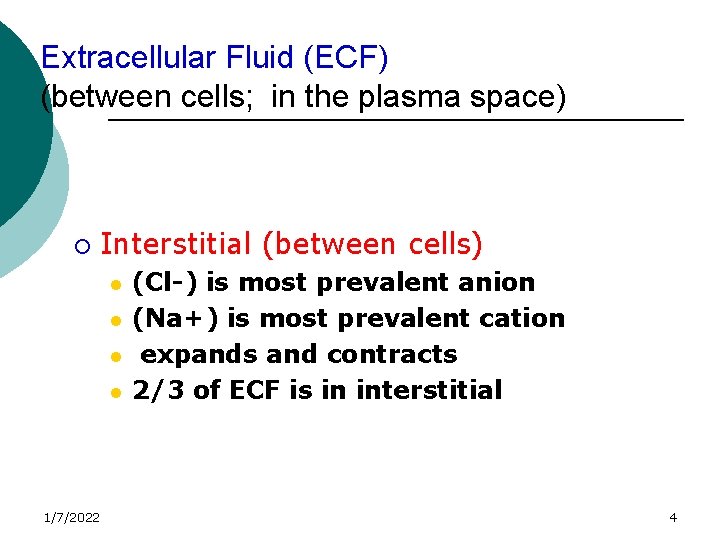 Extracellular Fluid (ECF) (between cells; in the plasma space) ¡ Interstitial (between cells) l