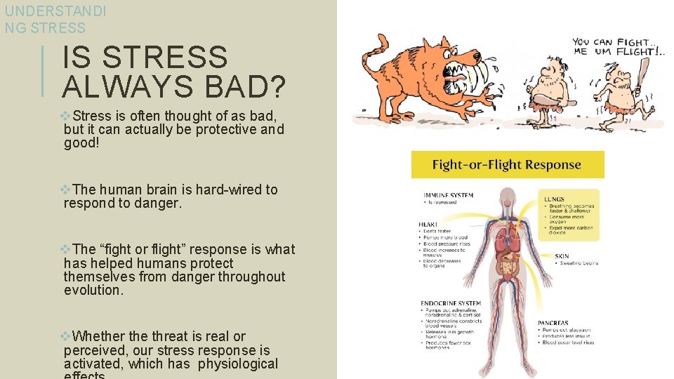 UNDERSTANDI NG STRESS IS STRESS ALWAYS BAD? v. Stress is often thought of as