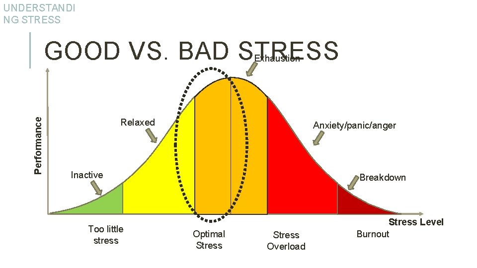 UNDERSTANDI NG STRESS GOOD VS. BAD STRESS Performance Exhaustion Relaxed Anxiety/panic/anger Inactive Too little
