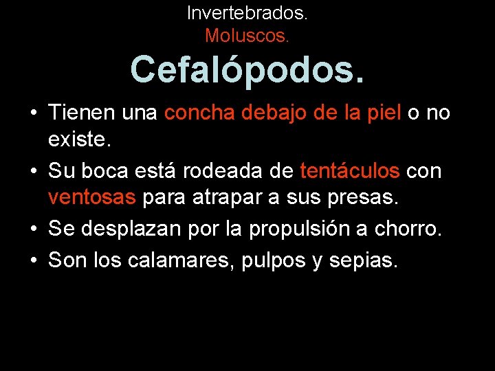 Invertebrados. Moluscos. Cefalópodos. • Tienen una concha debajo de la piel o no existe.