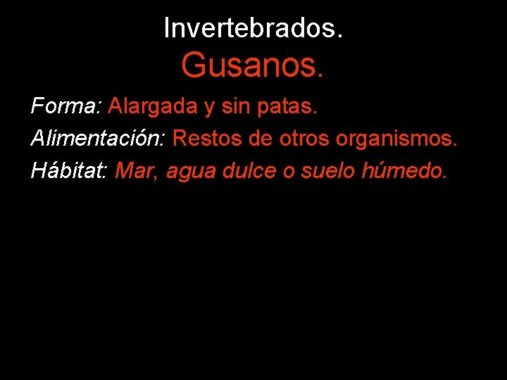 Invertebrados. Gusanos. Forma: Alargada y sin patas. Alimentación: Restos de otros organismos. Hábitat: Mar,
