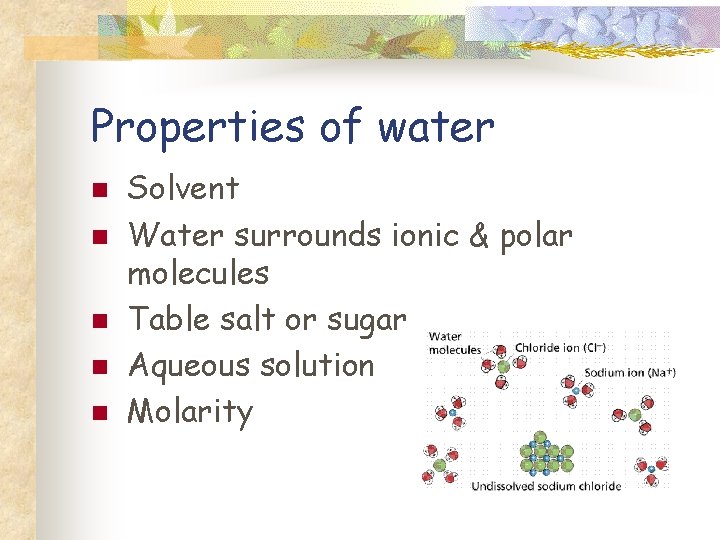 Properties of water n n n Solvent Water surrounds ionic & polar molecules Table