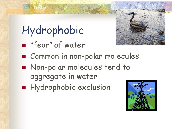 Hydrophobic n n “fear” of water Common in non-polar molecules Non-polar molecules tend to