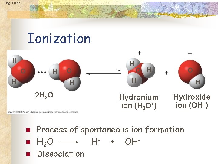 Fig. 3 -UN 2 Ionization H O H 2 H 2 O n n