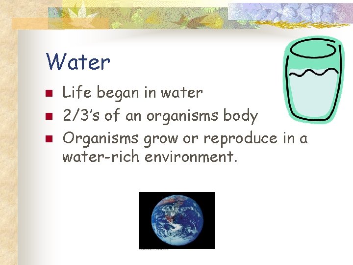 Water n n n Life began in water 2/3’s of an organisms body Organisms