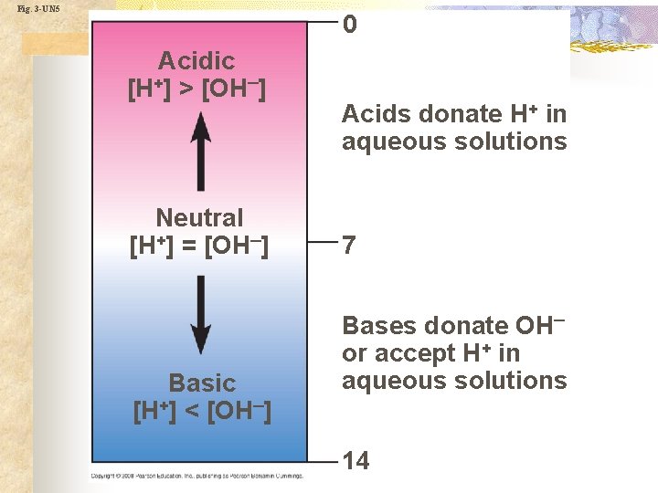 Fig. 3 -UN 5 0 Acidic [H+] > [OH–] Neutral [H+] = [OH–] Basic