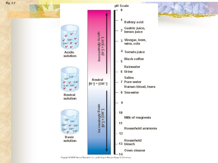 Fig. 3 -9 p. H Scale 0 H+ H+ + – H H+ OH–