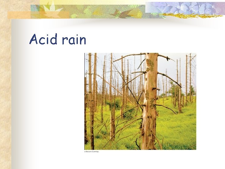 Acid rain 