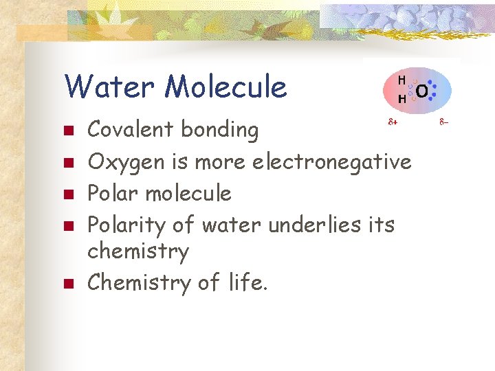 Water Molecule n n n Covalent bonding Oxygen is more electronegative Polar molecule Polarity