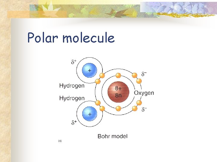 Polar molecule 