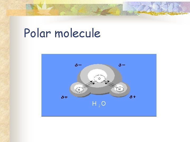 Polar molecule 