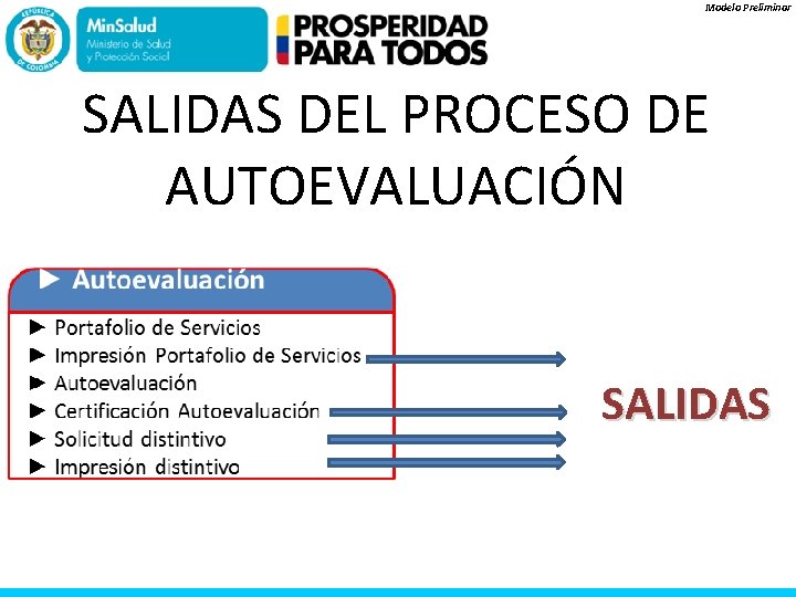 Modelo Preliminar SALIDAS DEL PROCESO DE AUTOEVALUACIÓN SALIDAS 