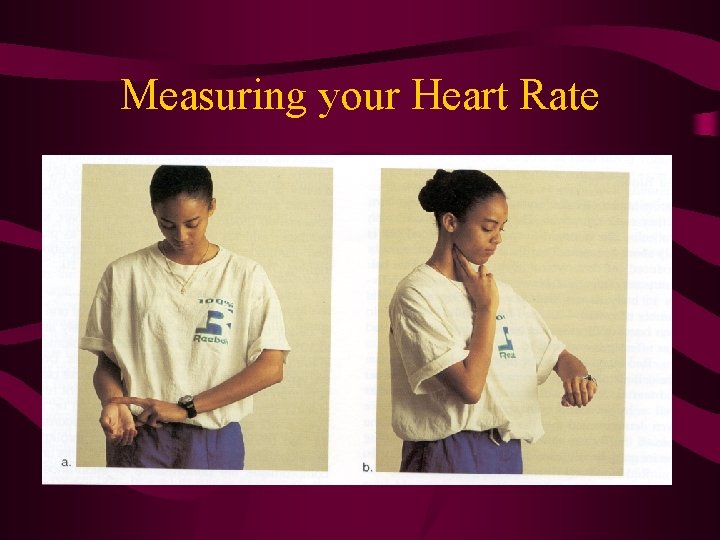 Measuring your Heart Rate Measuring your Heart Rate