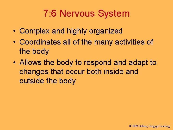 7: 6 Nervous System • Complex and highly organized • Coordinates all of the