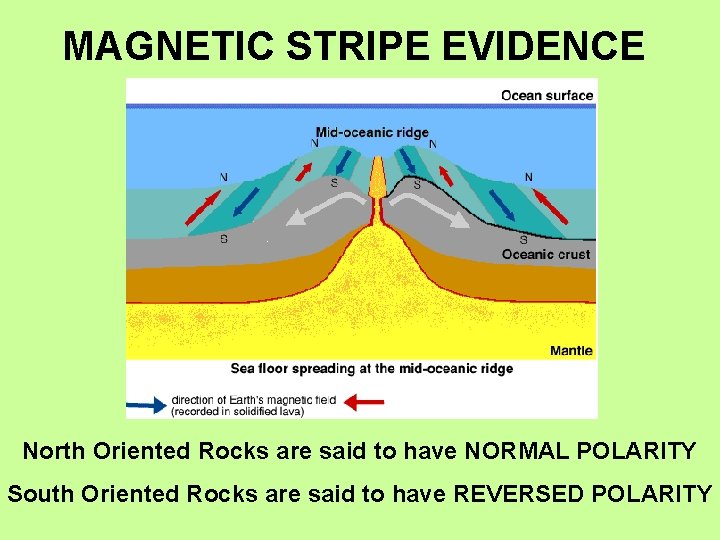 MAGNETIC STRIPE EVIDENCE North Oriented Rocks are said to have NORMAL POLARITY South Oriented