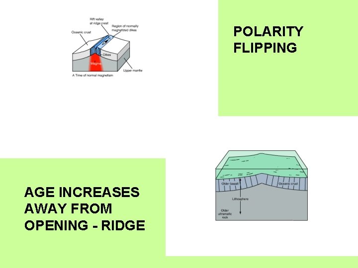 POLARITY FLIPPING AGE INCREASES AWAY FROM OPENING - RIDGE 