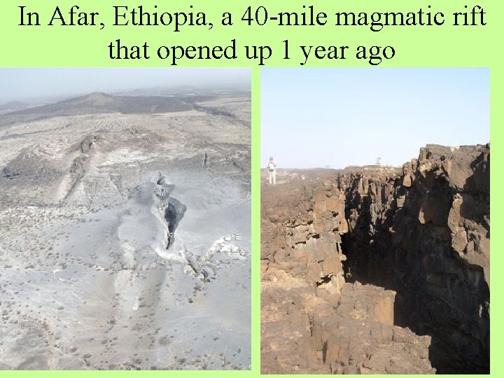 In Afar, Ethiopia, a 40 -mile magmatic rift that opened up 1 year ago