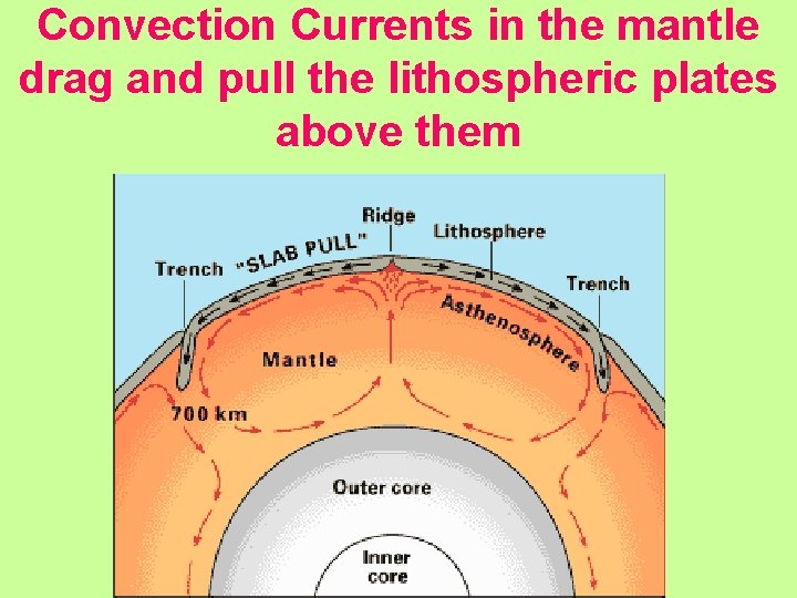 Convection Currents in the mantle drag and pull the lithospheric plates above them 