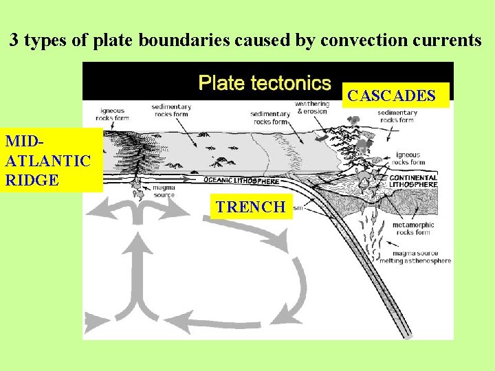 3 types of plate boundaries caused by convection currents CASCADES MIDATLANTIC RIDGE TRENCH 