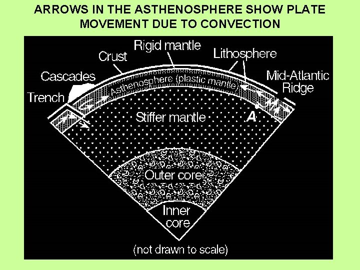 ARROWS IN THE ASTHENOSPHERE SHOW PLATE MOVEMENT DUE TO CONVECTION 