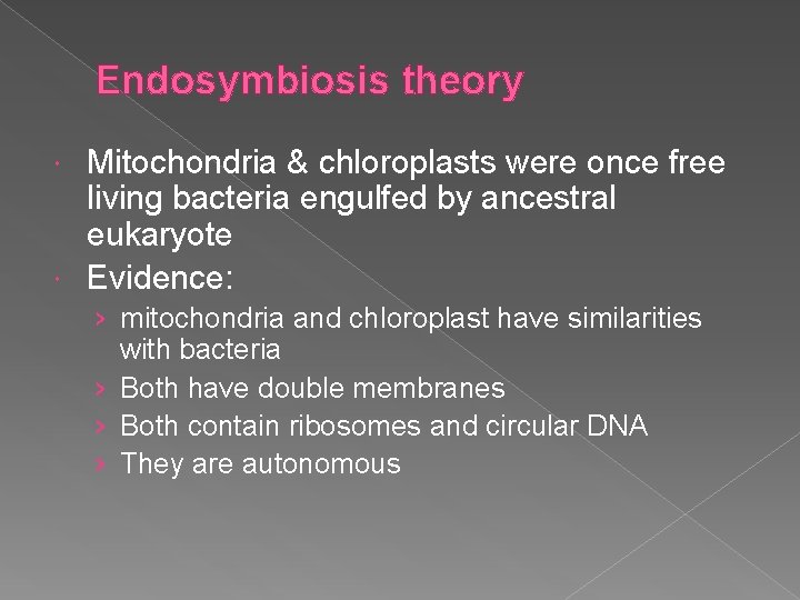 Endosymbiosis theory Mitochondria & chloroplasts were once free living bacteria engulfed by ancestral eukaryote
