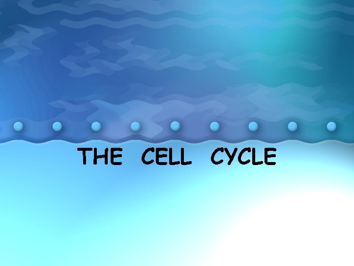 THE CELL CYCLE 