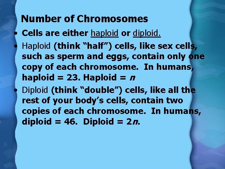 Number of Chromosomes • Cells are either haploid or diploid. • Haploid (think “half”)