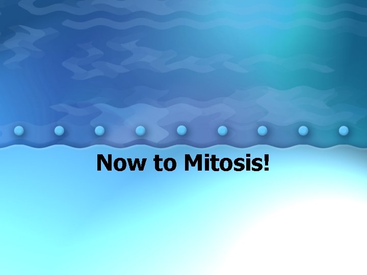 Now to Mitosis! 