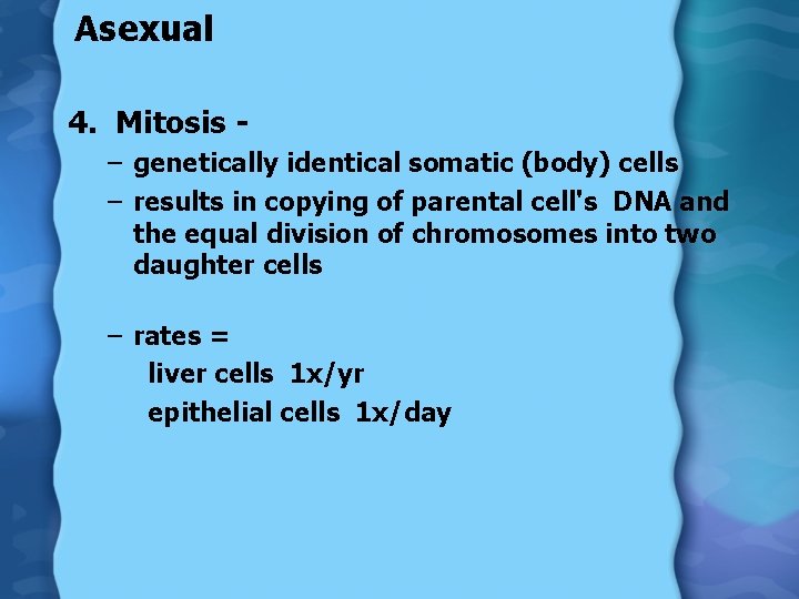 Asexual 4. Mitosis – genetically identical somatic (body) cells – results in copying of