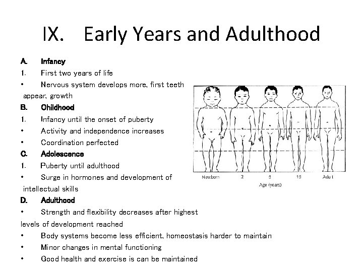 IX. Early Years and Adulthood A. Infancy 1. First two years of life •