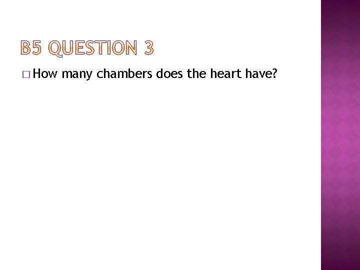 � How many chambers does the heart have? 