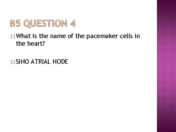 � What is the name of the pacemaker cells in the heart? � SINO