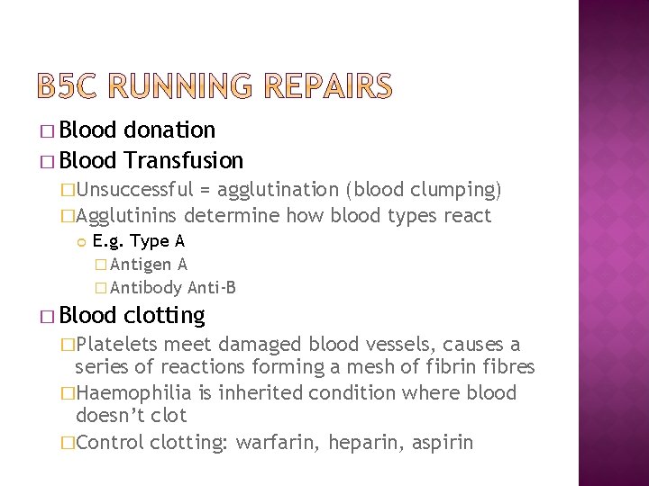 � Blood donation � Blood Transfusion �Unsuccessful = agglutination (blood clumping) �Agglutinins determine how