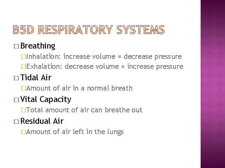 � Breathing �Inhalation: increase volume = decrease pressure �Exhalation: decrease volume = increase pressure