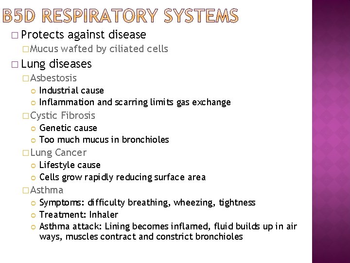 � Protects � Mucus � Lung against disease wafted by ciliated cells diseases �