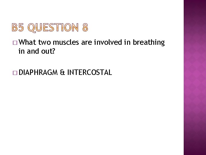 � What two muscles are involved in breathing in and out? � DIAPHRAGM &