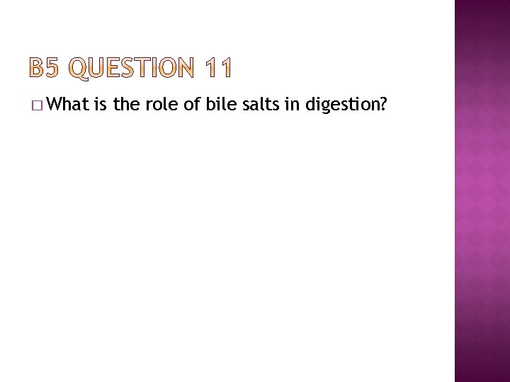 � What is the role of bile salts in digestion? 