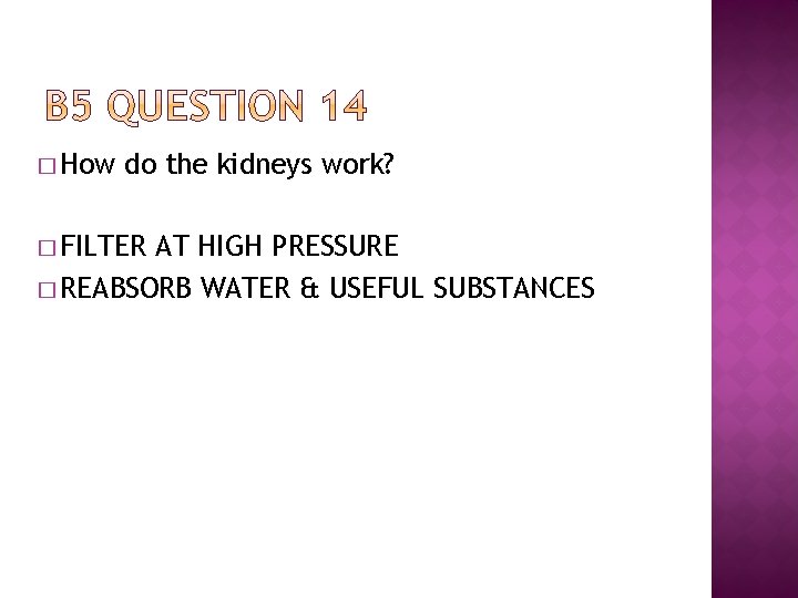 � How do the kidneys work? � FILTER AT HIGH PRESSURE � REABSORB WATER