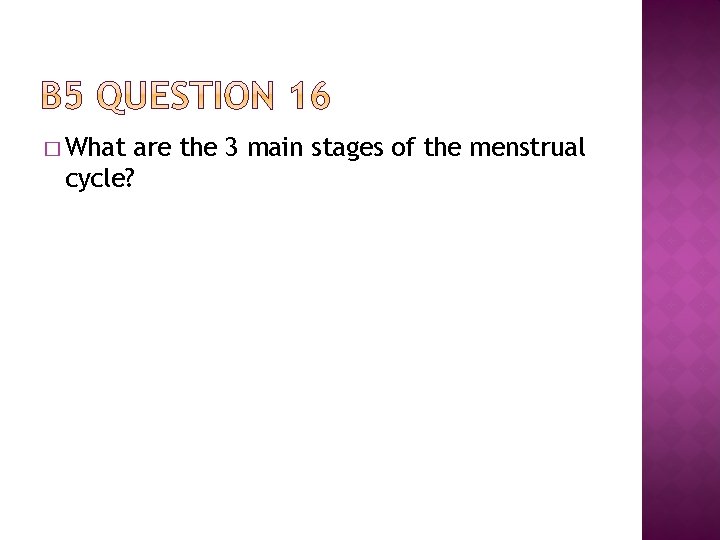 � What are the 3 main stages of the menstrual cycle? 