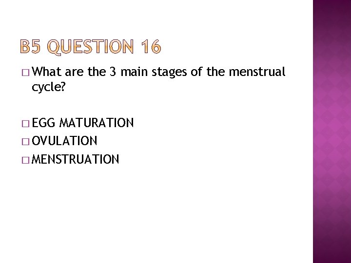 � What are the 3 main stages of the menstrual cycle? � EGG MATURATION