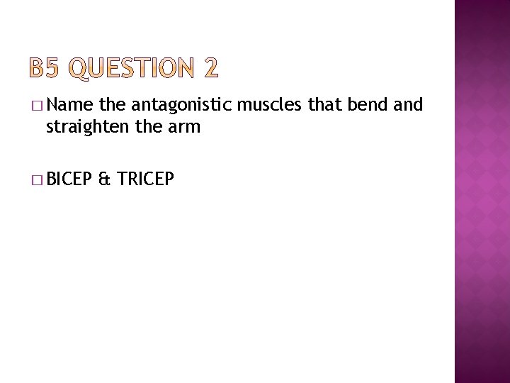 � Name the antagonistic muscles that bend and straighten the arm � BICEP &