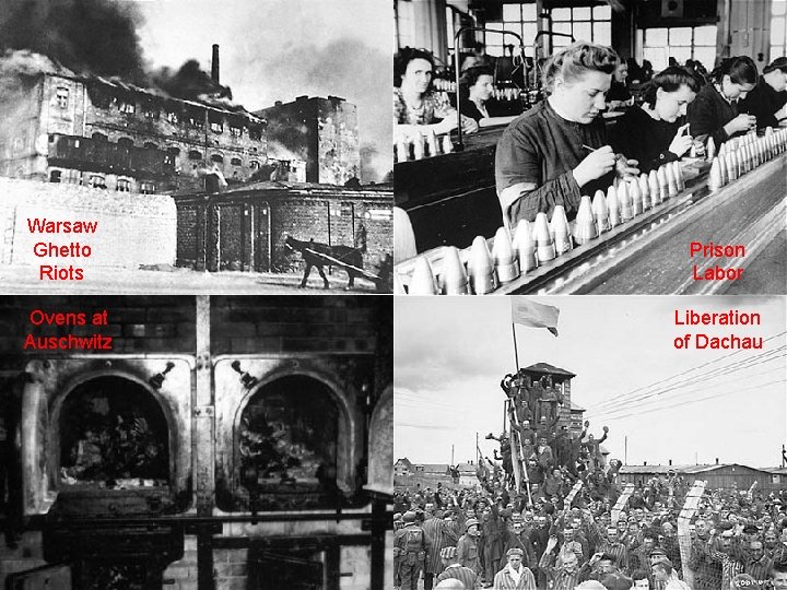 The Holocaust Warsaw Ghetto Riots Ovens at Auschwitz Prison Labor Liberation of Dachau 