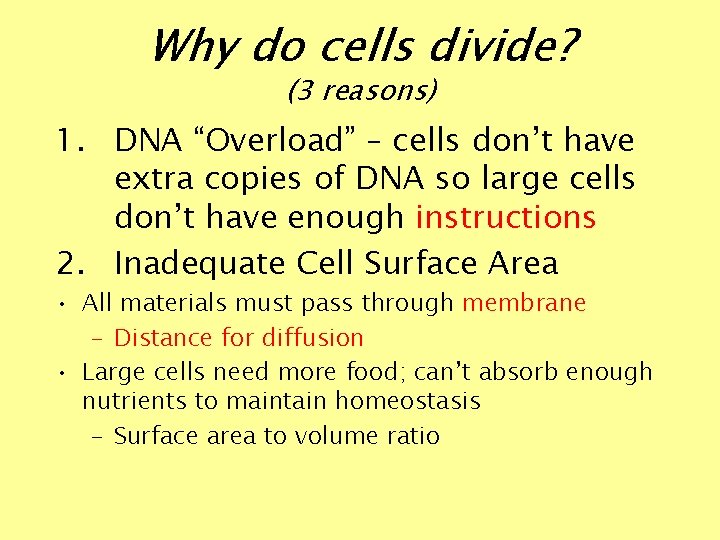 Why do cells divide? (3 reasons) 1. DNA “Overload” – cells don’t have extra