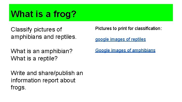 What is a frog? Classify pictures of amphibians and reptiles. Pictures to print for