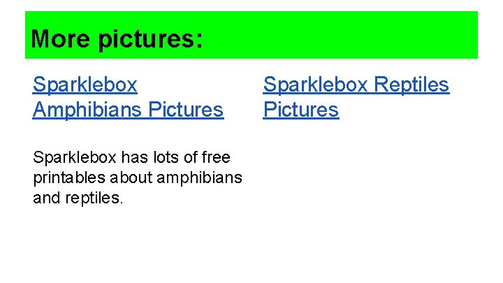 More pictures: Sparklebox Amphibians Pictures Sparklebox has lots of free printables about amphibians and