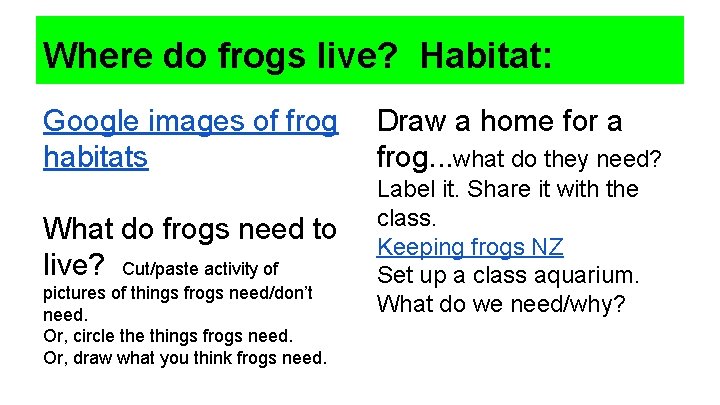 Where do frogs live? Habitat: Google images of frog habitats Draw a home for