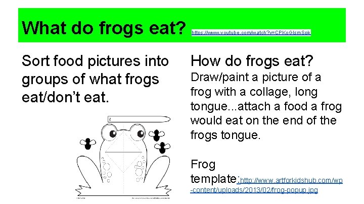 What do frogs eat? Sort food pictures into groups of what frogs eat/don’t eat.