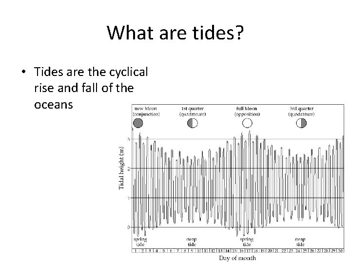 What are tides? • Tides are the cyclical rise and fall of the oceans