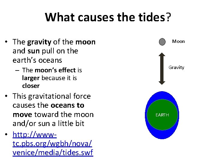 What causes the tides? • The gravity of the moon and sun pull on