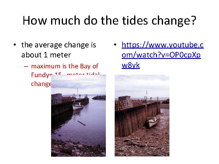 How much do the tides change? • the average change is about 1 meter